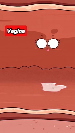 115K views · 2.8K reactions | #animation #funny | Health Manager | Facebook