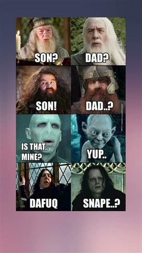 Harry Potter vs. Lord of the Rings: The Long Lost Relatives? 😂 #Shorts #harrypotter #memes