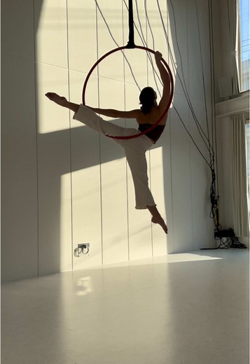Aerial Hoop Tutorials for Beginners: Master the Lyra