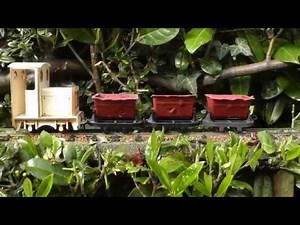 Peckforton Light Railway - IP Engineering 'Albert' test run