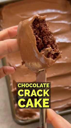 Sarah M Lasry - EASY RECIPES & TRAVEL on Instagram: "Chocolate Crack Cake Another Viral recipe totally worth the hype! A must make - especially the frosting!! We literally ate almost the entire pan this weekend! RECIPE: 1 chocolate cake mix box (I used Duncan hienz devils food) 1 regular coke can (Can used Coke Zero) For the frosting: 2 sticks melted margarine or butter 3 tbsp. Cocoa 2 cups confectioners sugar 6tbsp. Non dairy whip or heavy cream 1 tsp. Vanilla extract Mix the cake powder with t