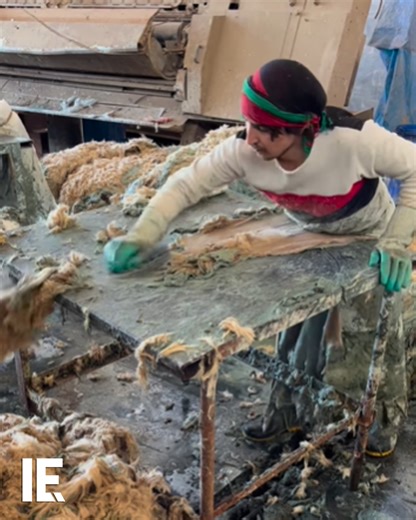 Watch as a worker uses a tool to efficiently separate wool from hides, preparing both for further use. 🐑 #wool #leathercraft #IndustrialInnovation 📽️: Instagram/ maa_leather | Interesting Engineering