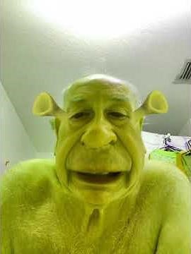 Shrek. True loves first kiss.