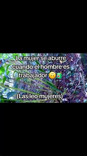 Videos de SEBA FF. (@seba.r74) con “sonido original - 🧿Jorge González☘️ 🇬🇹 ✍️”