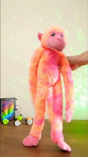 Cha Cha Slide 🕺 with Monkey Teddy 🐵 #kidssongs #kidsvideo #children #kids #toddlers #dance #music