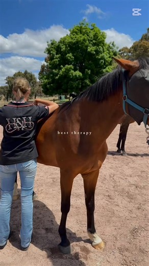 15 reactions | We ran a special midweek Level 1 EMMETT 4 Horses course this week with a small group of three students. We all had a ball! The feedback was “it’s the best two days I’ve had in ages and we haven’t laughed so much in years”. I love how this Technique attracts likeminded horse people and instant new friendships are made. Such great energy and laughs with everyone really supporting each other. | Equine Emmett Therapy & Saddle Fitting - Susan Hilbert | Facebook