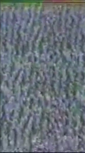 Who Remembers This? Super Mario Bros. NES Retro Commercial — #Shorts