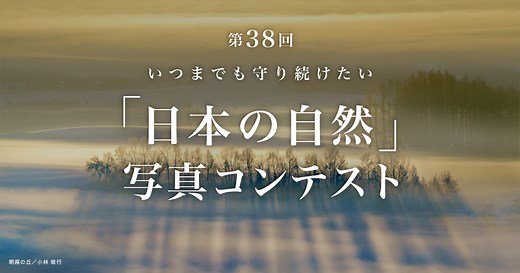 第37回「日本の自然」写真コンテスト受賞作品 | 4K | ソニー