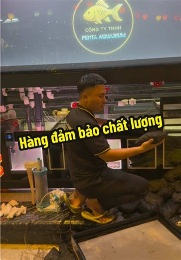 Hồ cá với Matrix chính hãng và Magic tái sử dụng