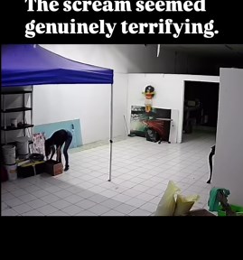 Bhootor Dekhor Kahini on Instagram: "This video originates from Mexico and features a piñata hanging on the wall that is reportedly haunted. According to the claims, the piñata exhibits strange and unsettling behaviors that suggest it might be possessed by a supernatural entity. Witnesses have described eerie occurrences associated with the piñata, such as inexplicable movements or noises, leading to speculation that it harbors a haunting presence. The video captures these unsettling moments, pr