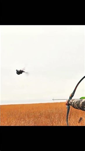 One arrow. One chance. That’s the beauty of pheasant bow hunting! #hunting #shorts