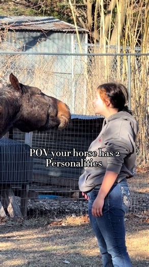 🚜 The Farm 🚜 (@dorsonfamilyfarm)’s videos with original sound - Breaking Rust