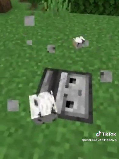 Minecraft Fake Wall 🧱 ((はいよろこんで) #shorts