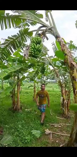 148K views · 210 reactions | Smart Solution life hacks for life problem **#EverydayHacks #LifeHacks #BetterLife #SimpleTips #DailyTips #SmartLiving #LifeImprovement #DIYHacks #Productivity #SelfCare** | Everyday hack life | Facebook