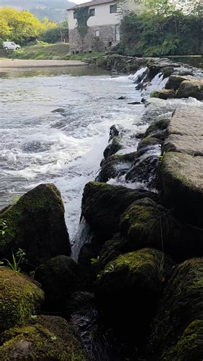 3 comments | Jose Abreu on Reels | Facebook