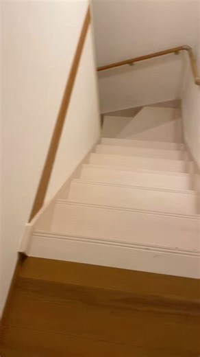 おはぎとパパ on Instagram: "つったかたー🐭♪ #チンチラ #チンチラのいる暮らし #チンチラ好きと繋がりたい #チンチラグラム #chinchilla #chinchillagram"