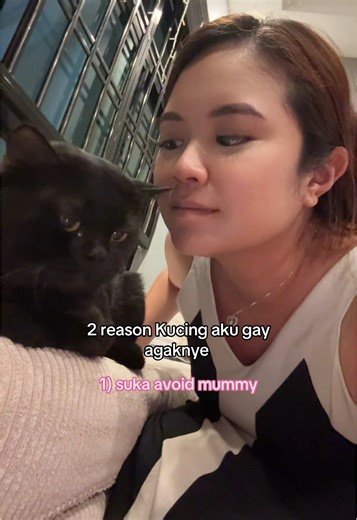 Understanding Gay Behavior in Cats