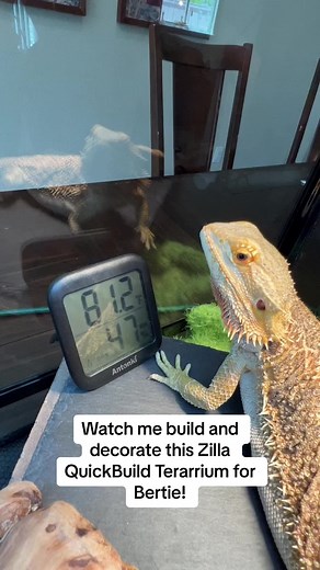 Zilla QuickBuild Terrarium Assembly for Bearded Dragon | Easy Setup