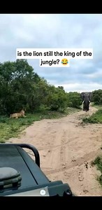 Black Culture Tours & Events on Reels