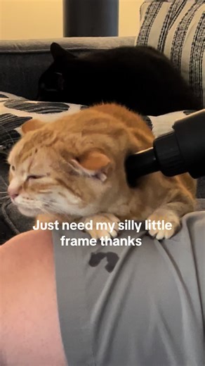 #Opalite | picture frames