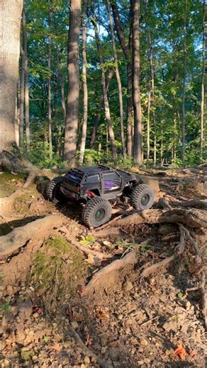 Scenic morning trails with the Traxxas Summit. #rctruck #summit #traxxas #rccrawler #rctrailtruck