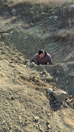 3.4K views · 1K reactions | Minerals Arm on Reels | Facebook