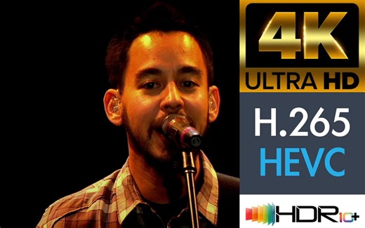 【蓝光原盘4K演唱会】林肯公园 2008 "革命之路"全球巡演之米尔顿凯恩斯站 Linkin Park Road To Revolution