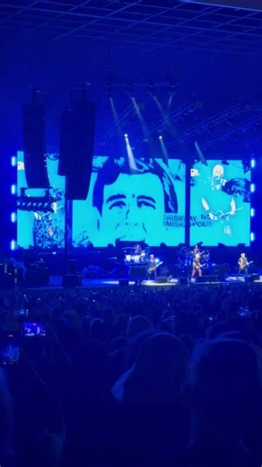 The Offspring - The Kids Aren't Alright (Live in Concert)