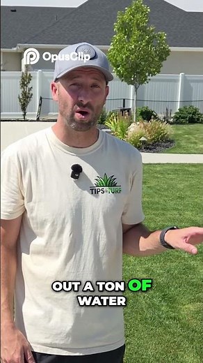 Watering Schedule: Best Times to Water New Grass Seed!