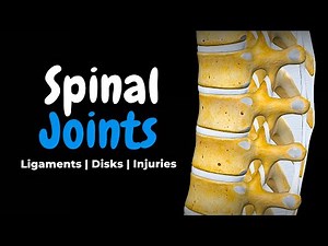 Vertebral Joints, Ligaments & Intervertebral Discs | Clinical Anatomy