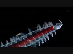 深海・青い砂漠 (01 of 02)