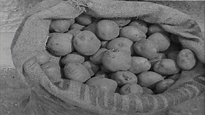 How To Spot A Good Spud