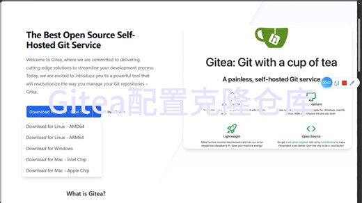 Gitea Git VSCode(HTTP方式)完整开发流程