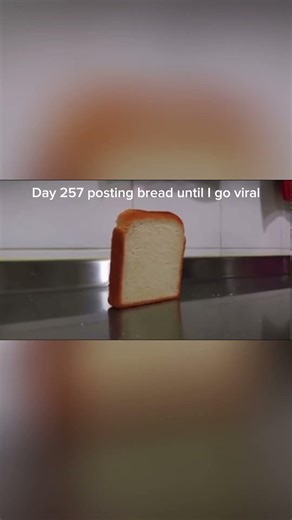 Day 257 of posting bread until I go viral #bread #viral #day257 #fyp #toast