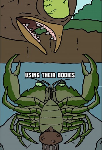 The Gruesome Zombie Crab Phenomenon Explained