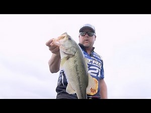 2019 Bassmaster Elite at Lake Guntersville