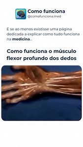 O flexor profundo dos dedos fica no antebraço e vira 4 tendões que vão até a ponta dos dedos. Quando contrai, ele faz você dobrar a última falange (flexão da DIP) e ajuda na força de pegada, tipo segurar sacola ou caneta. 🖐️💪🦴 #anatomia #mao #antebraco #musculos #viralizou 🧠✅ | Como Funciona Medicina