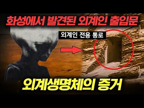[#프리한19] (110분) 지구에 온 외계인의 기록이 전해 내려온다?!👽 수많은 외계인 & UFO 목격담! 외계인 실존 증거 모음👾