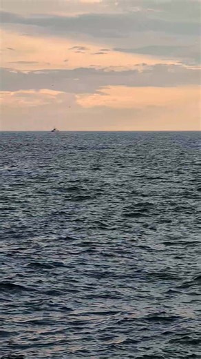 Mike Lowe on Reels | Facebook