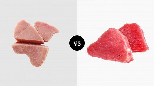 White Tuna vs Red Tuna: What's The Difference? - Miss Vickie