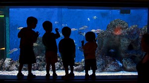For #TravelTuesday, we're exploring The Florida Aquarium in Tampa. #LoveFL | VISIT FLORIDA