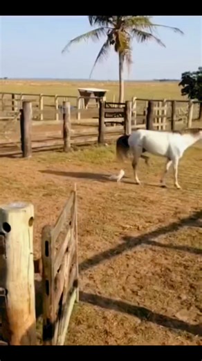 Time to upgrade your grilling game this summer! 🥩 Shop now and save 40% on ALL Do It Best Charcoal Grills until May 31. | Handyman