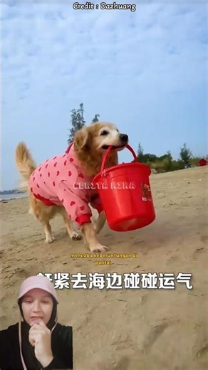 Why does my stomach suddenly hurt? #shorts #funny