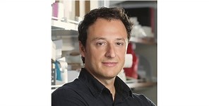 Generation and application of 3D-organoid cell culture models using human induced pluripotent stem cells (iPSCs) for drug discovery