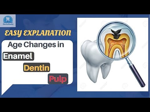 Age changes in Enamel, Dentin and Pulp