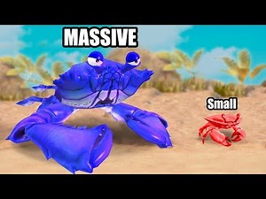 BIG CRAB EAT LITTLE CRAB! - King of Crabs | Ep3