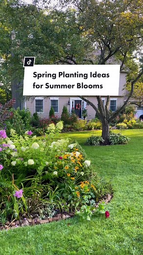 Spring Planting Ideas for Summer Flowers | Gardening Tips