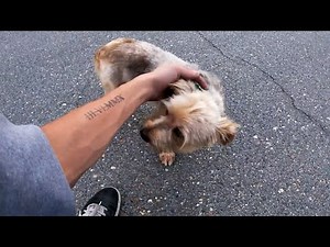 REAL LIFE HEROES | BIKERS HELPING OTHERS | BIKERS ARE NICE | [EP. 99]