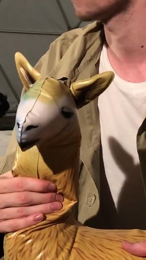 Alan Walker on TikTok