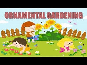 Ornamental Gardening Lecture Grade 4